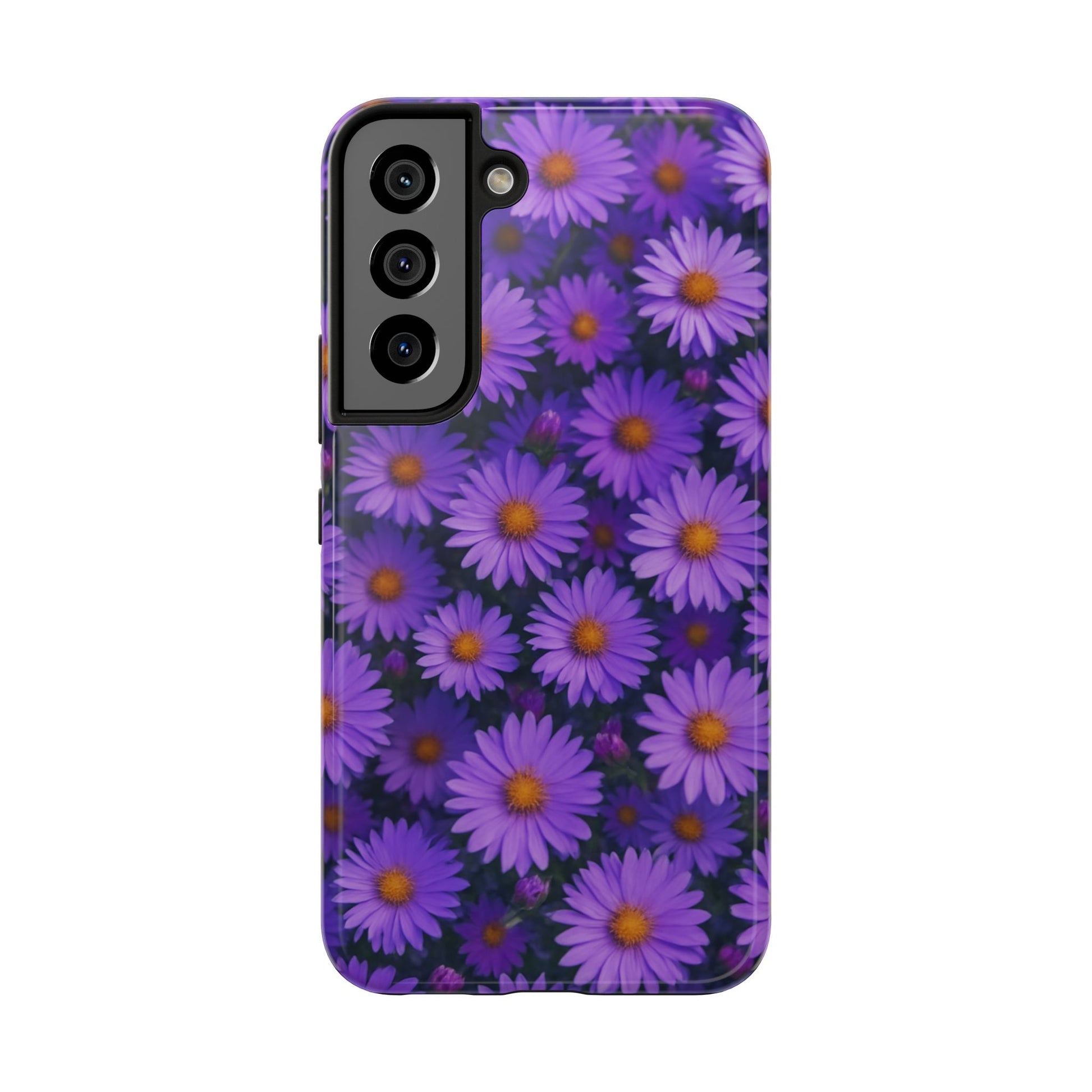 Lavender Daisy