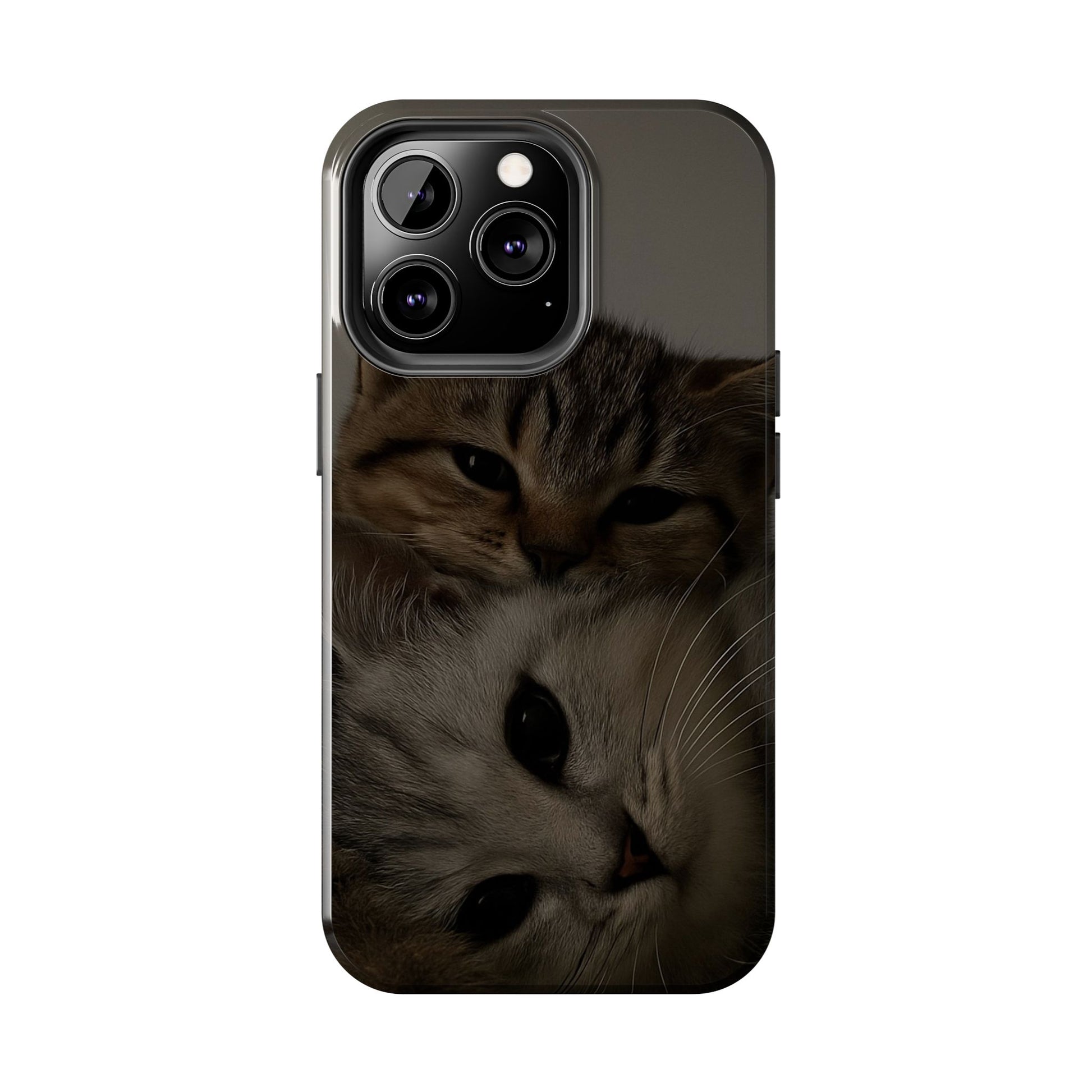 Purring Duo