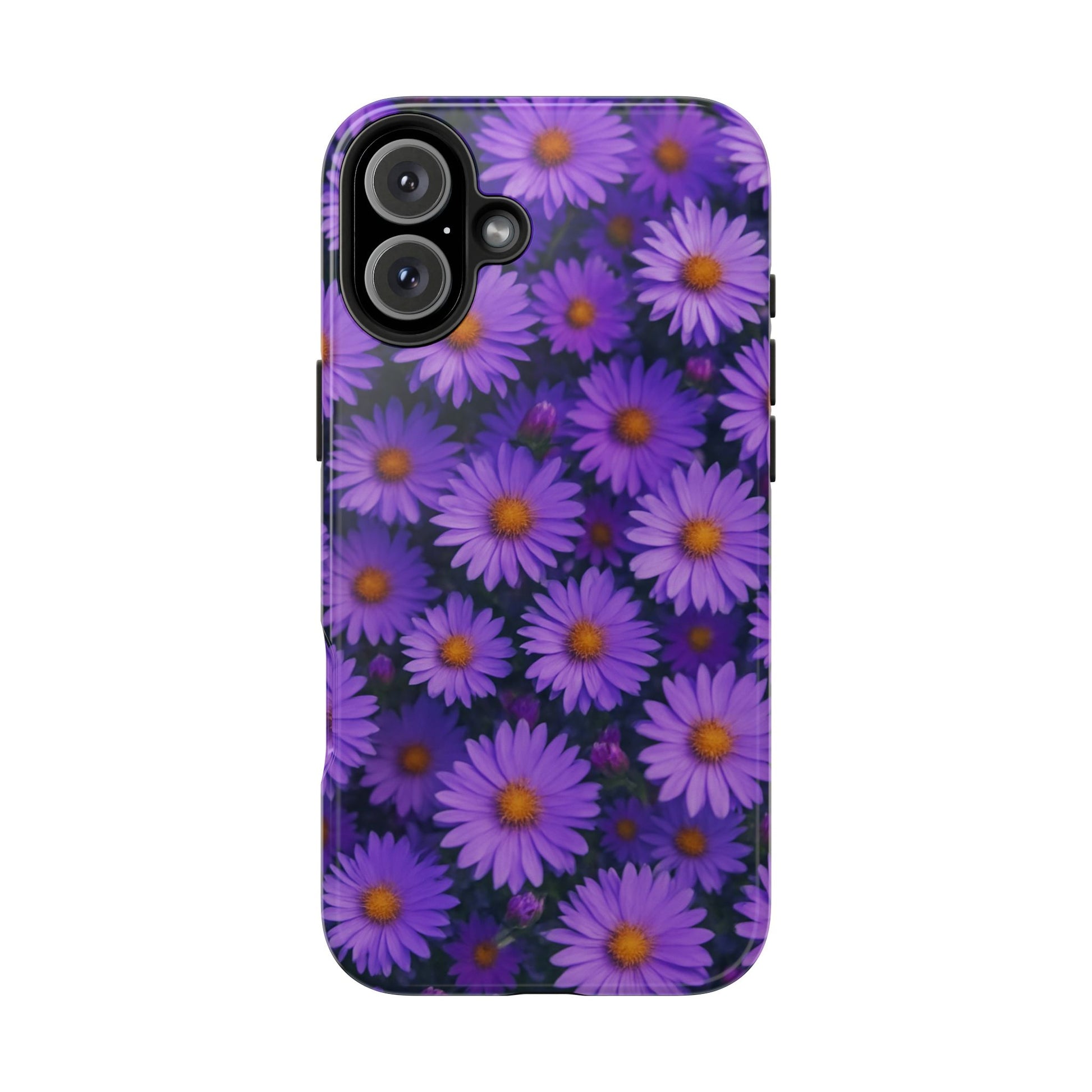 Lavender Daisy