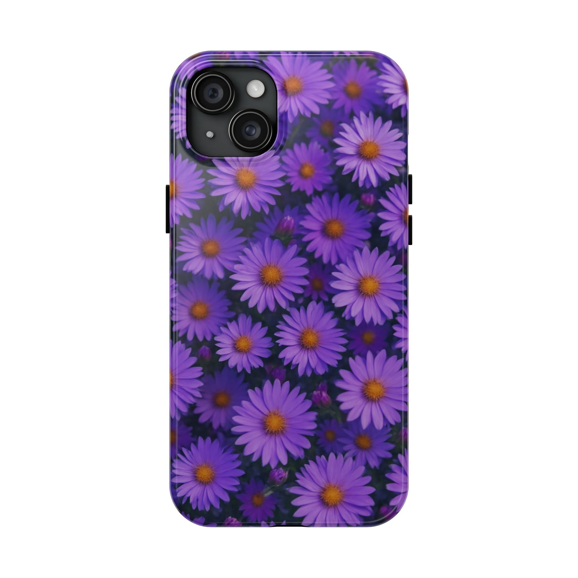 Lavender Daisy