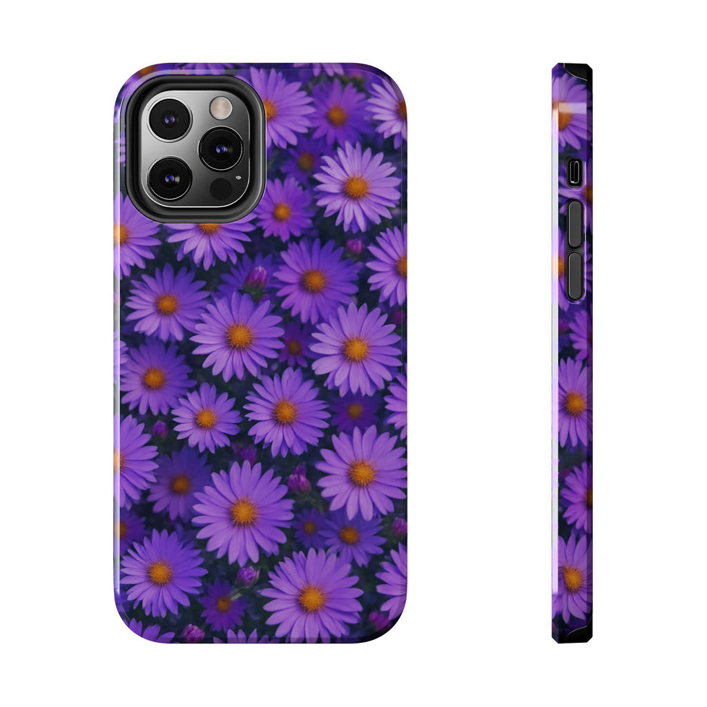 Lavender Daisy