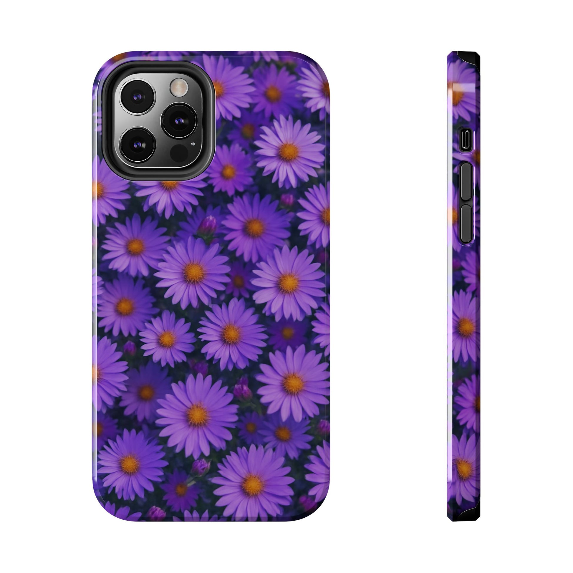 Lavender Daisy