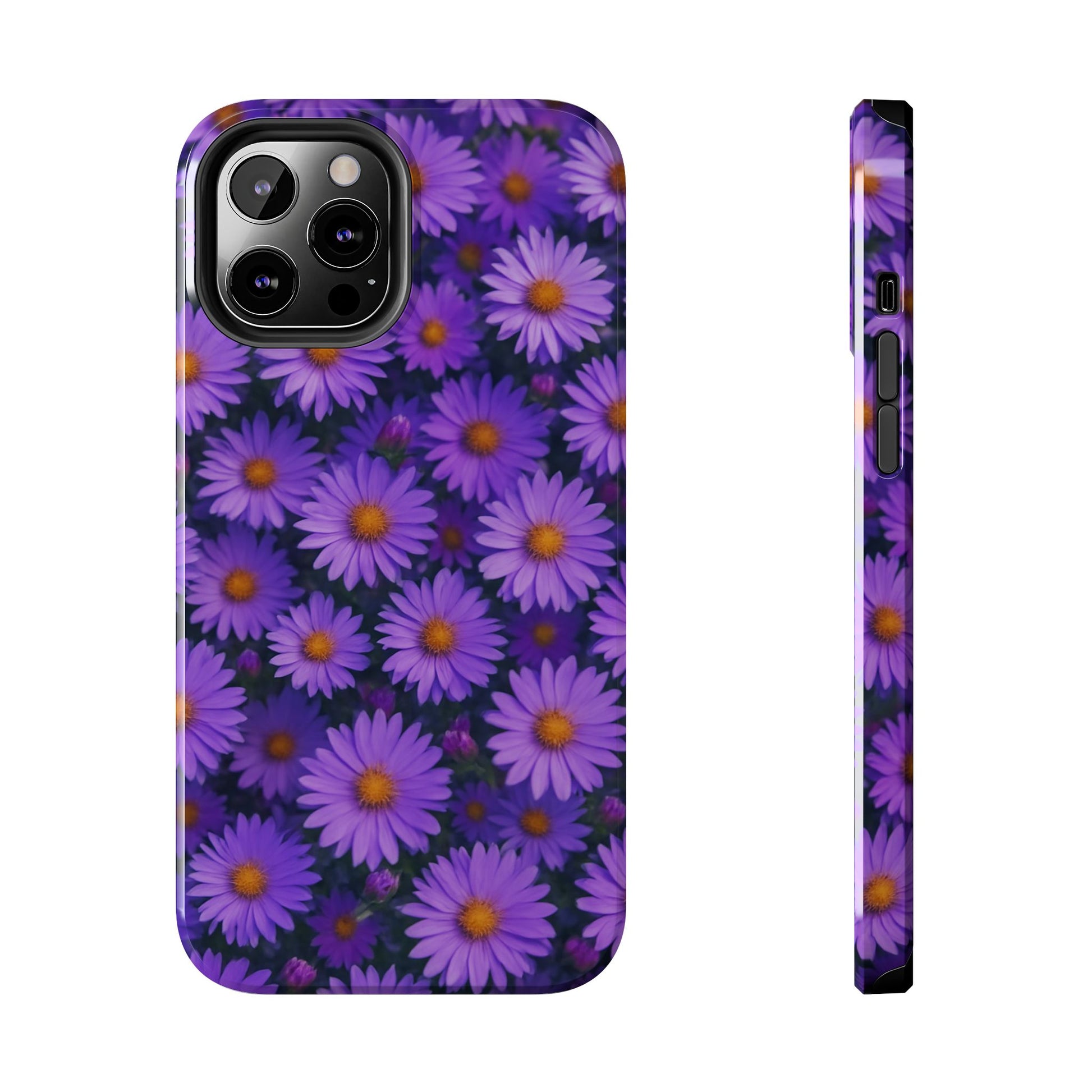 Lavender Daisy