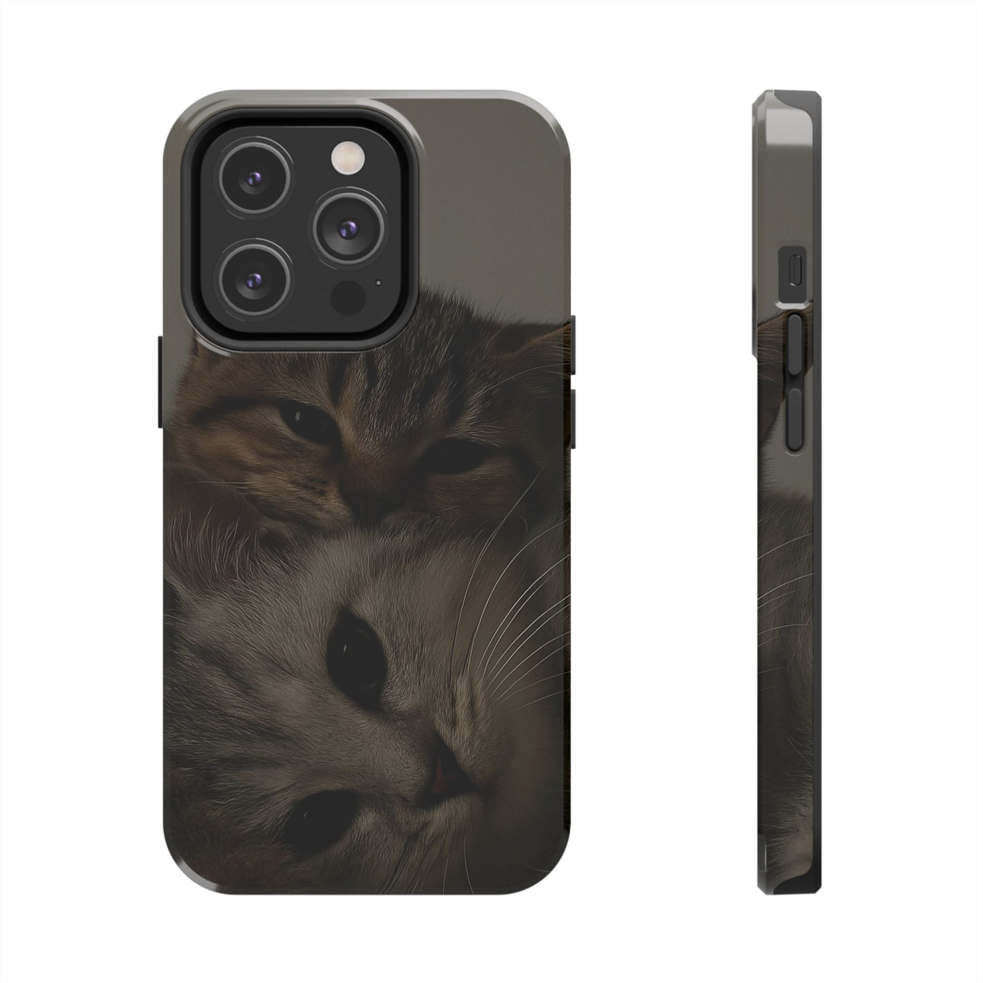 Purring Duo