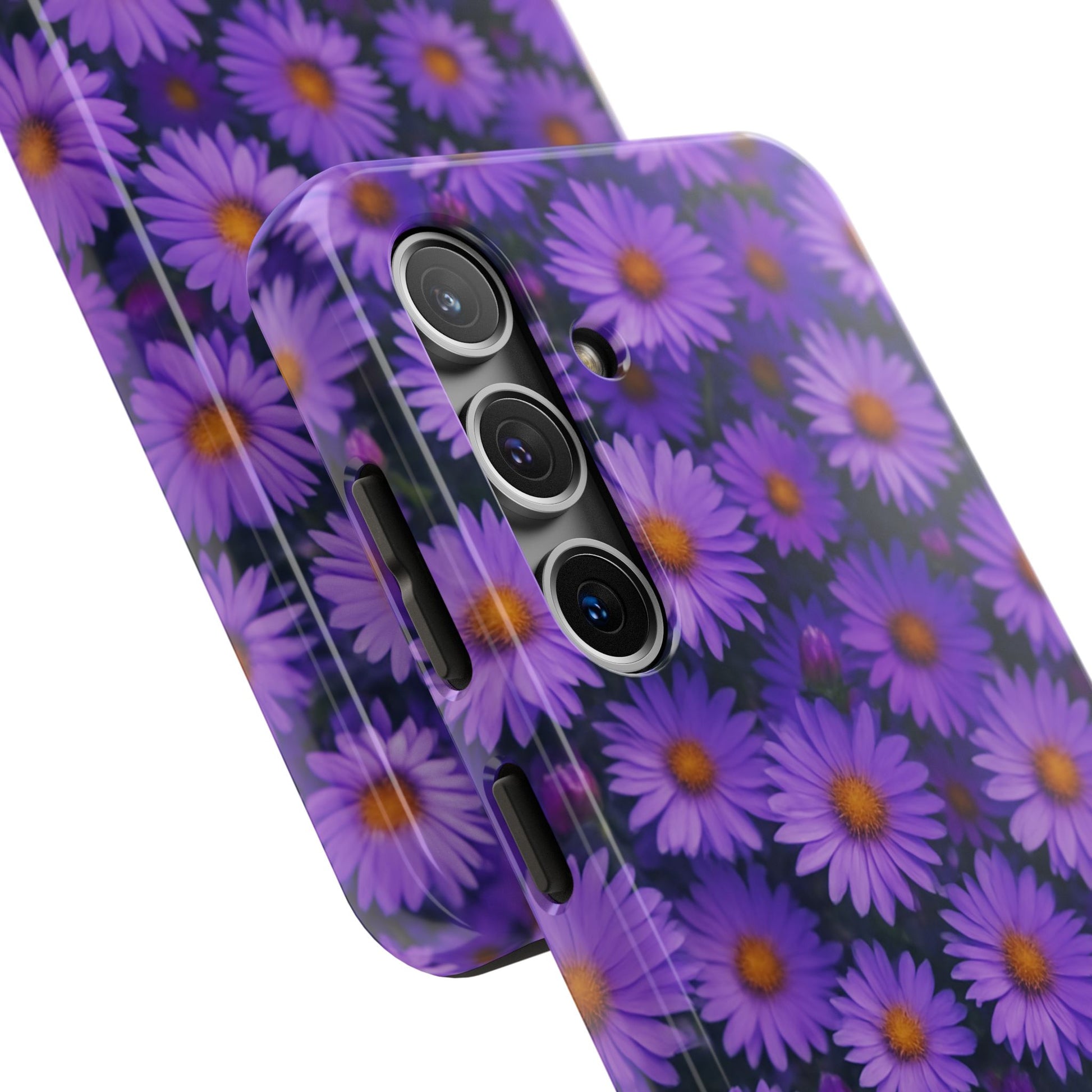 Lavender Daisy