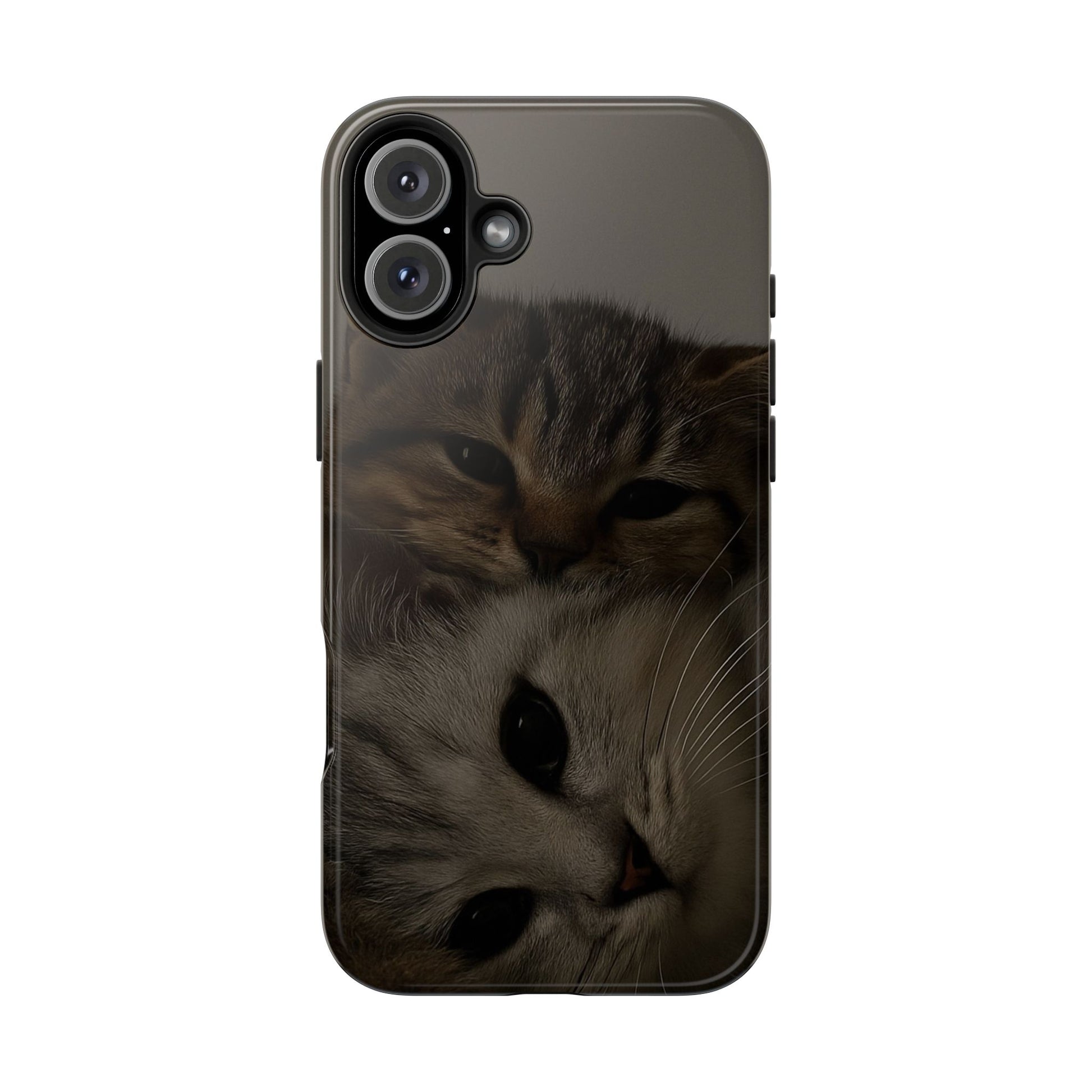 Purring Duo