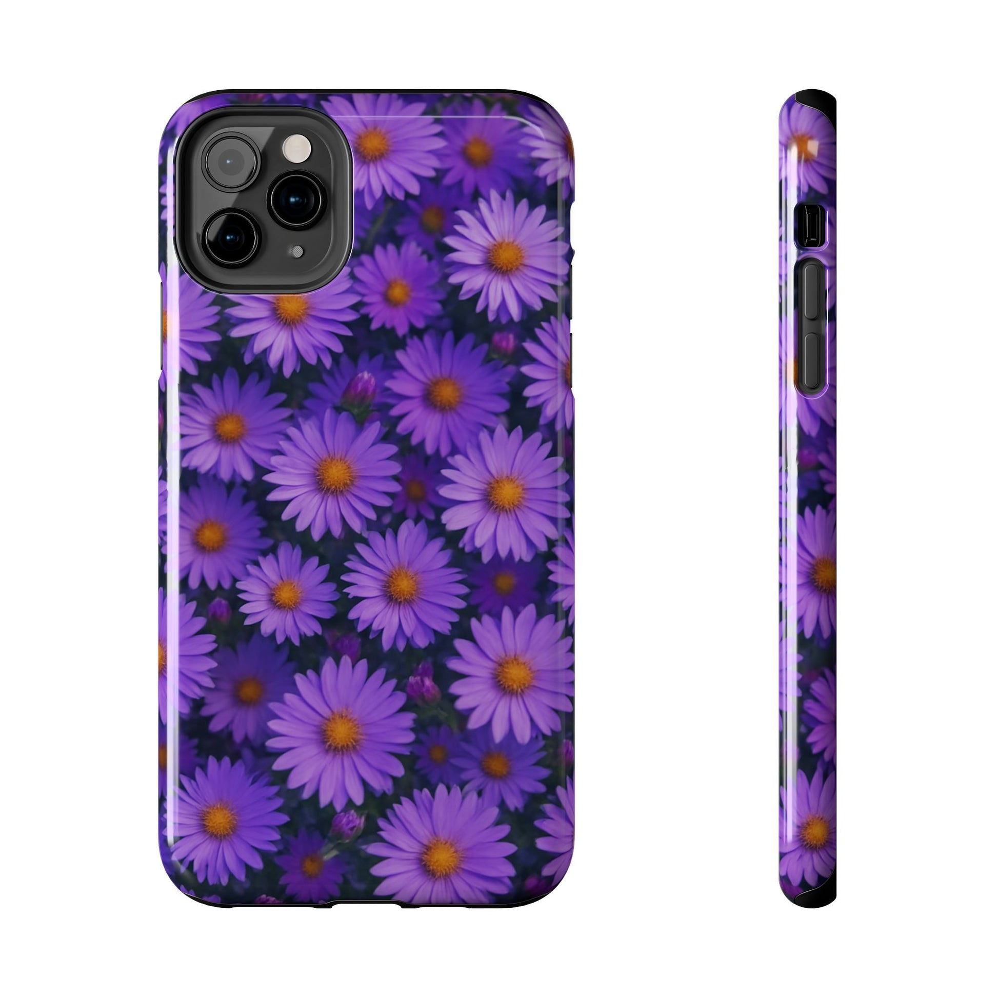 Lavender Daisy