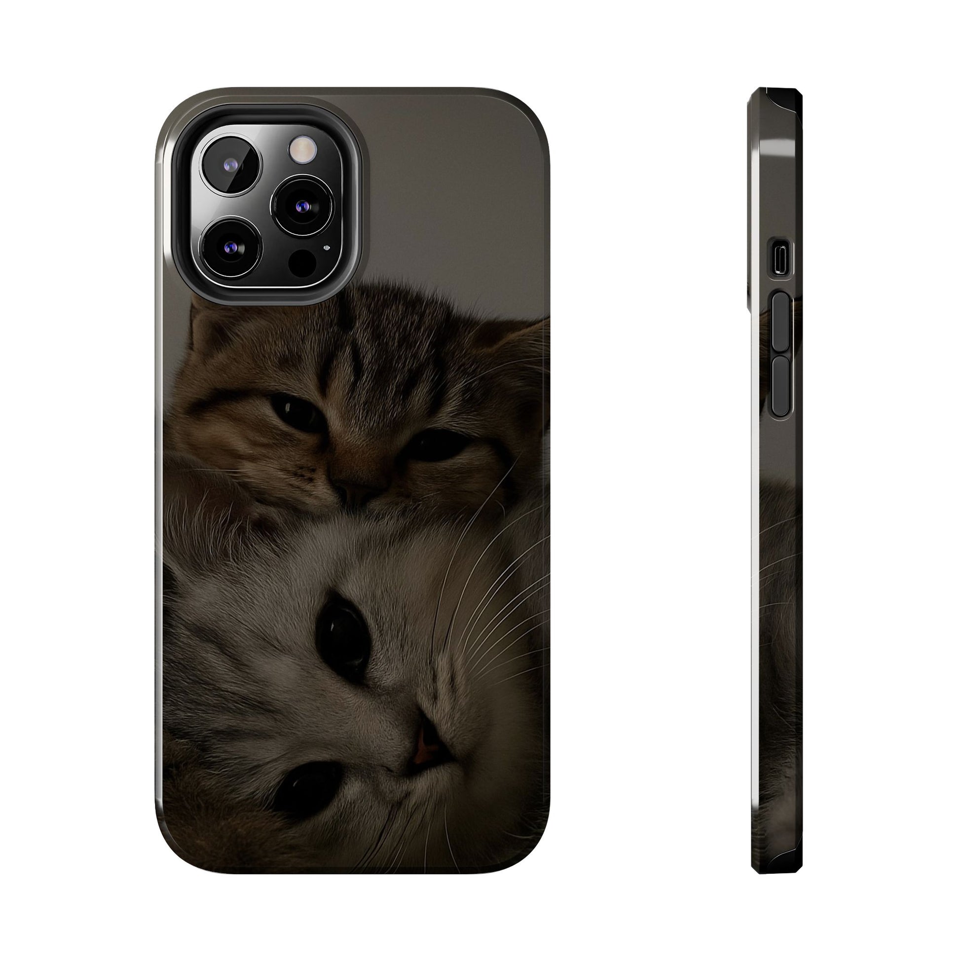 Purring Duo