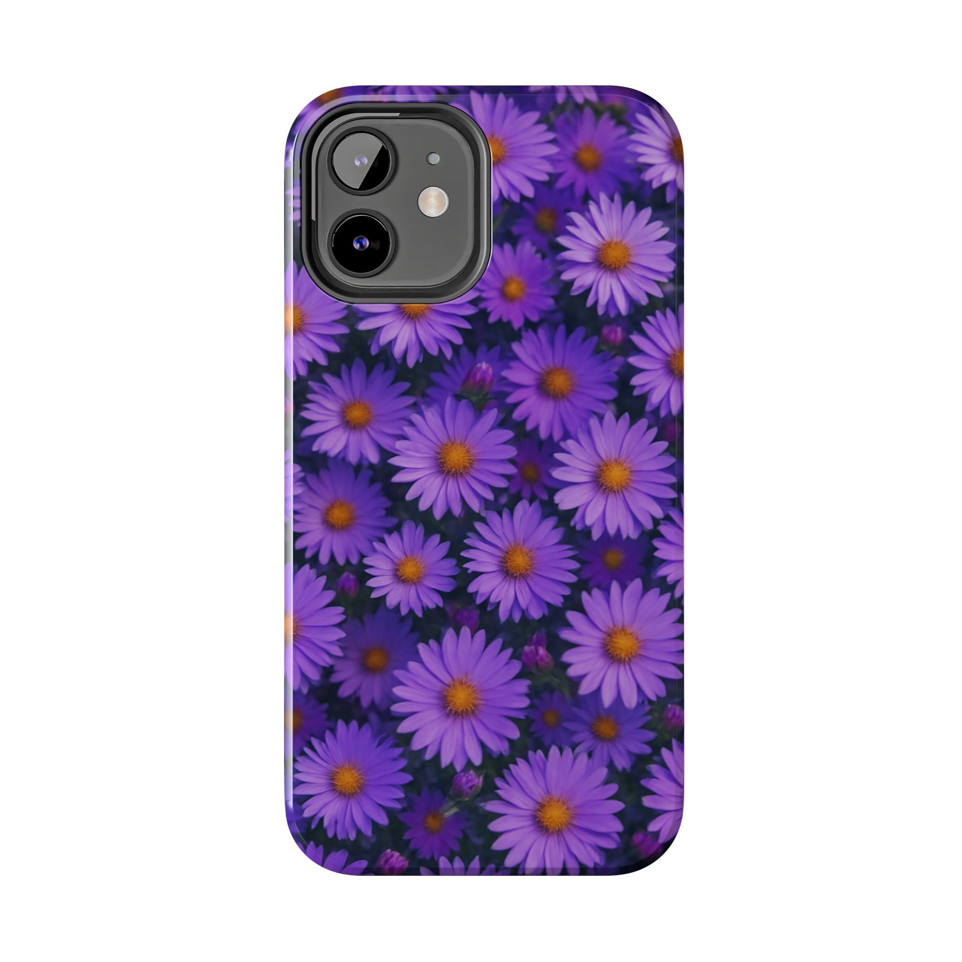 Lavender Daisy