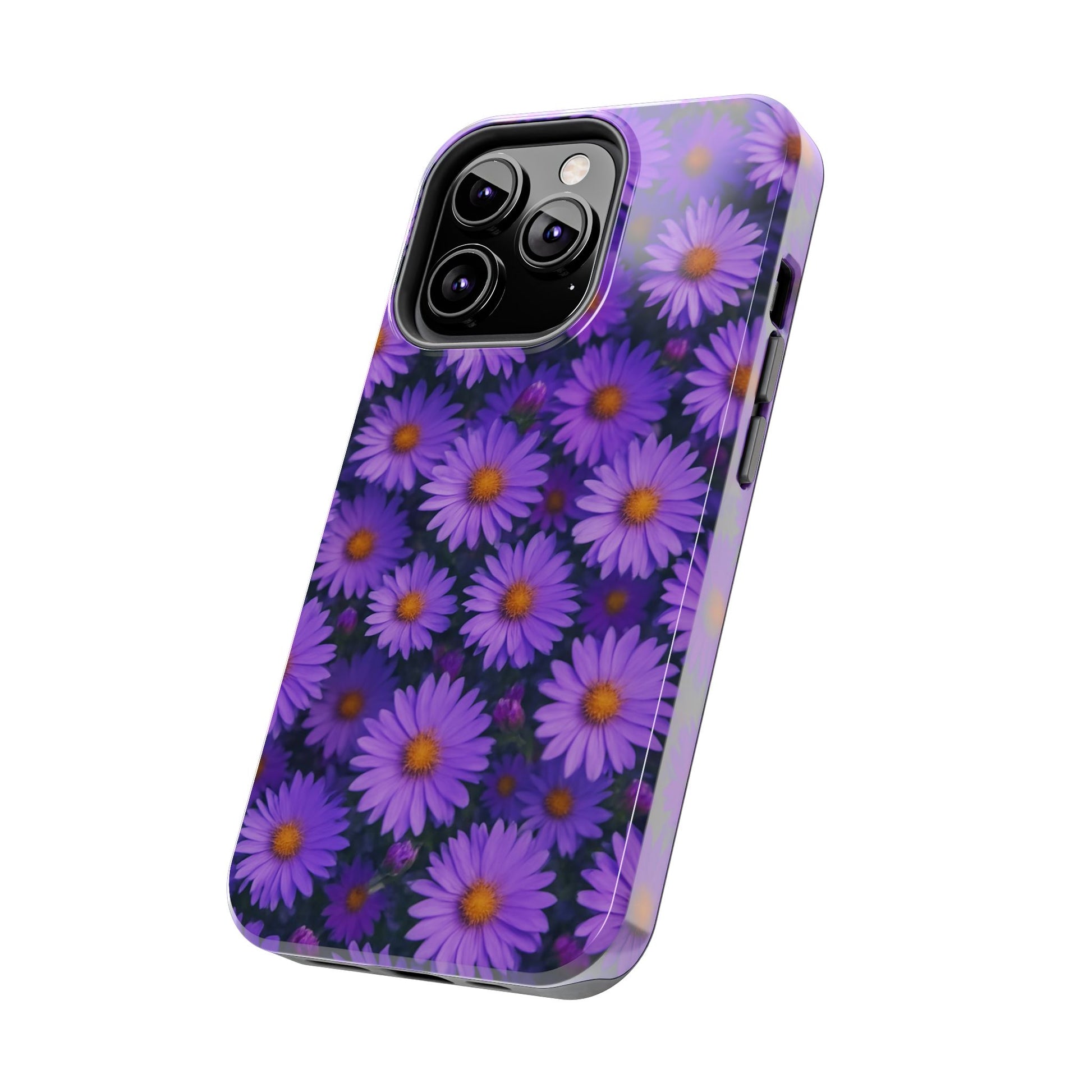 Lavender Daisy