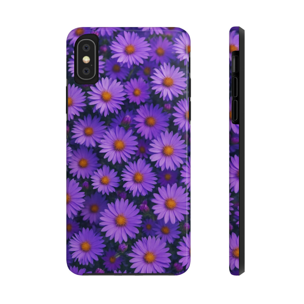 Lavender Daisy