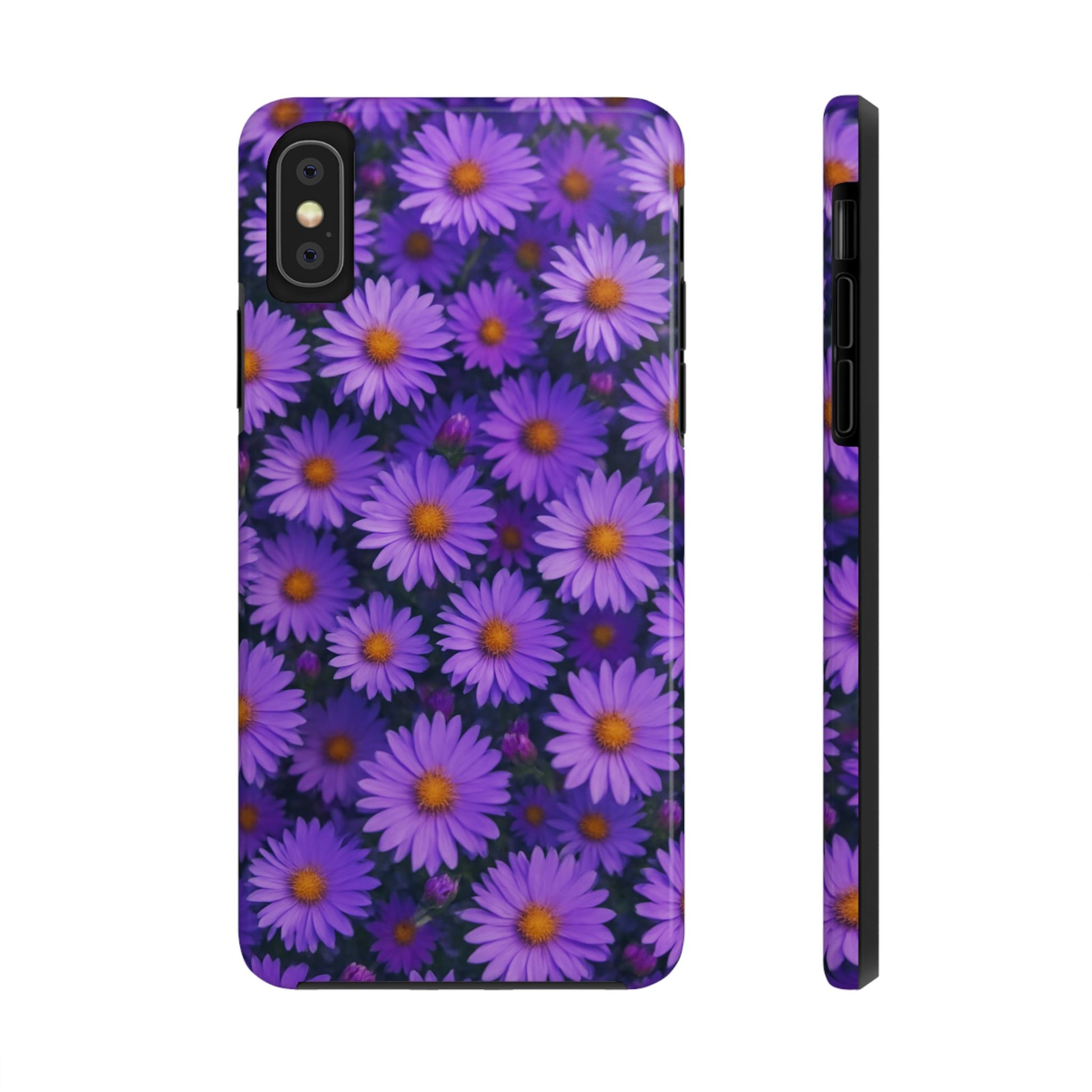 Lavender Daisy