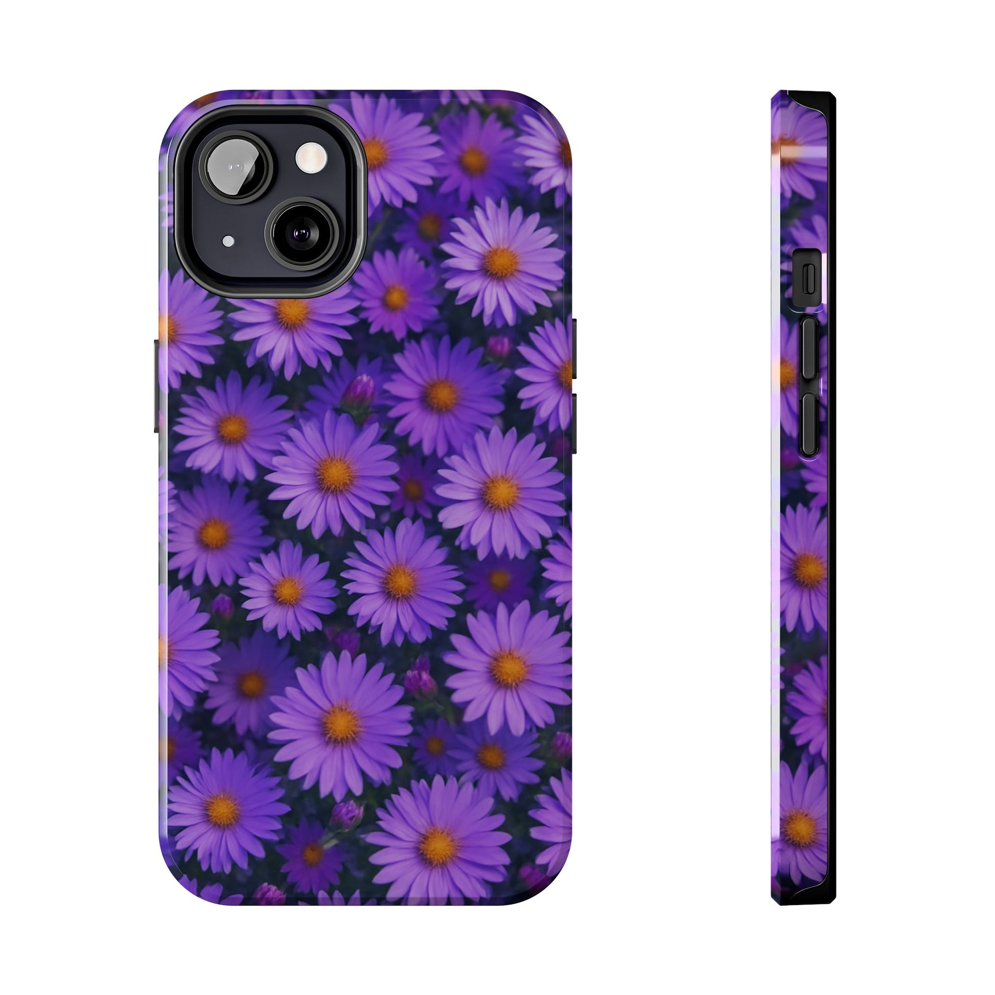 Lavender Daisy