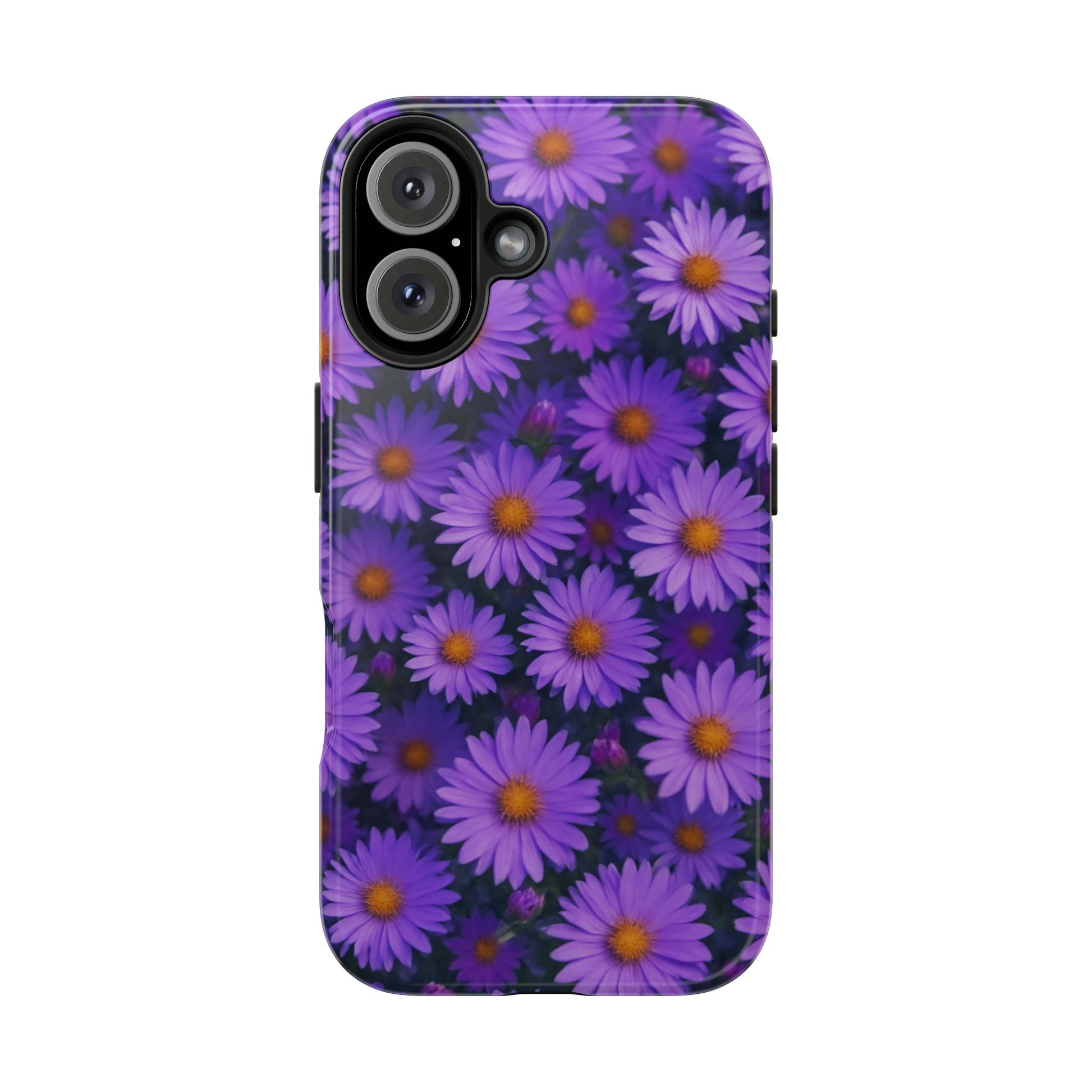 Lavender Daisy