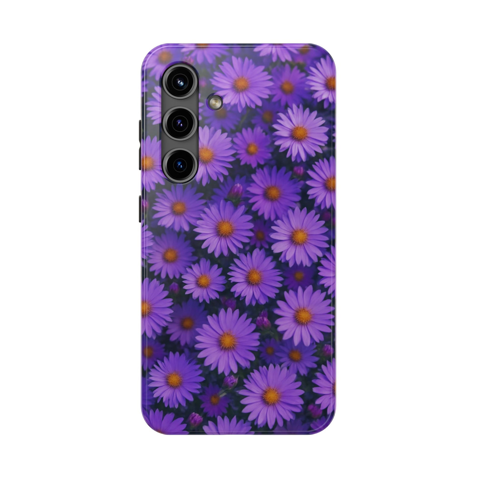 Lavender Daisy