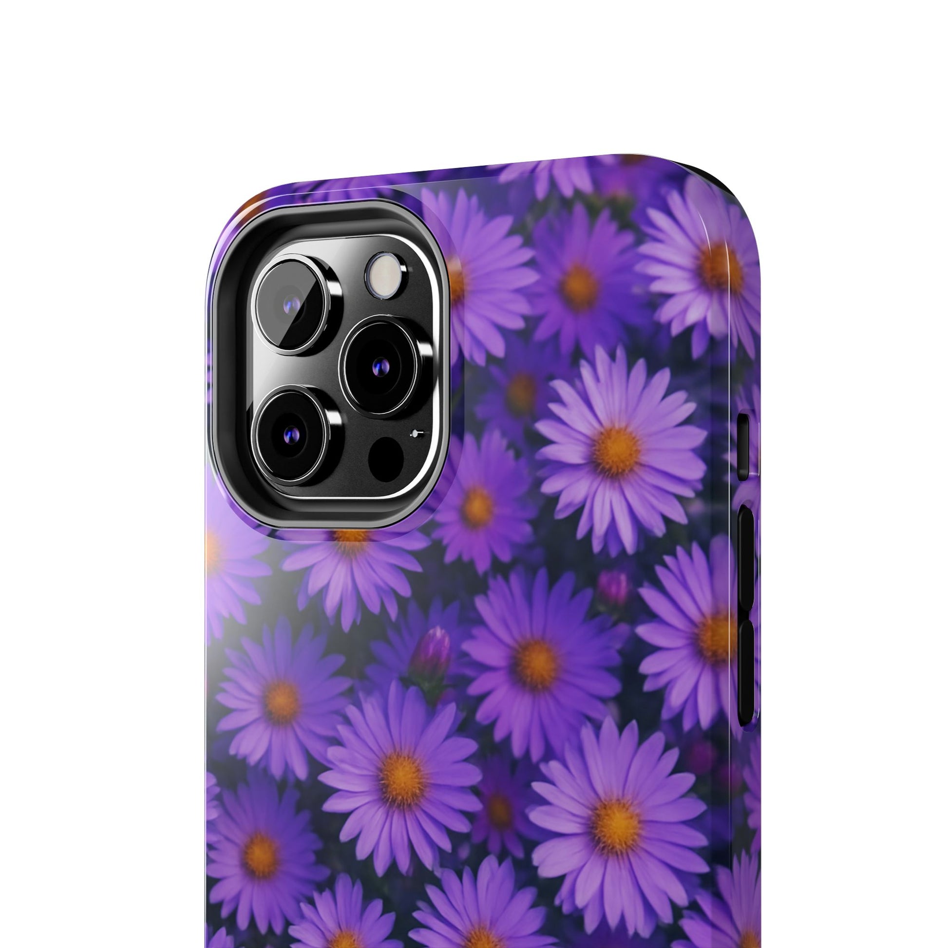 Lavender Daisy