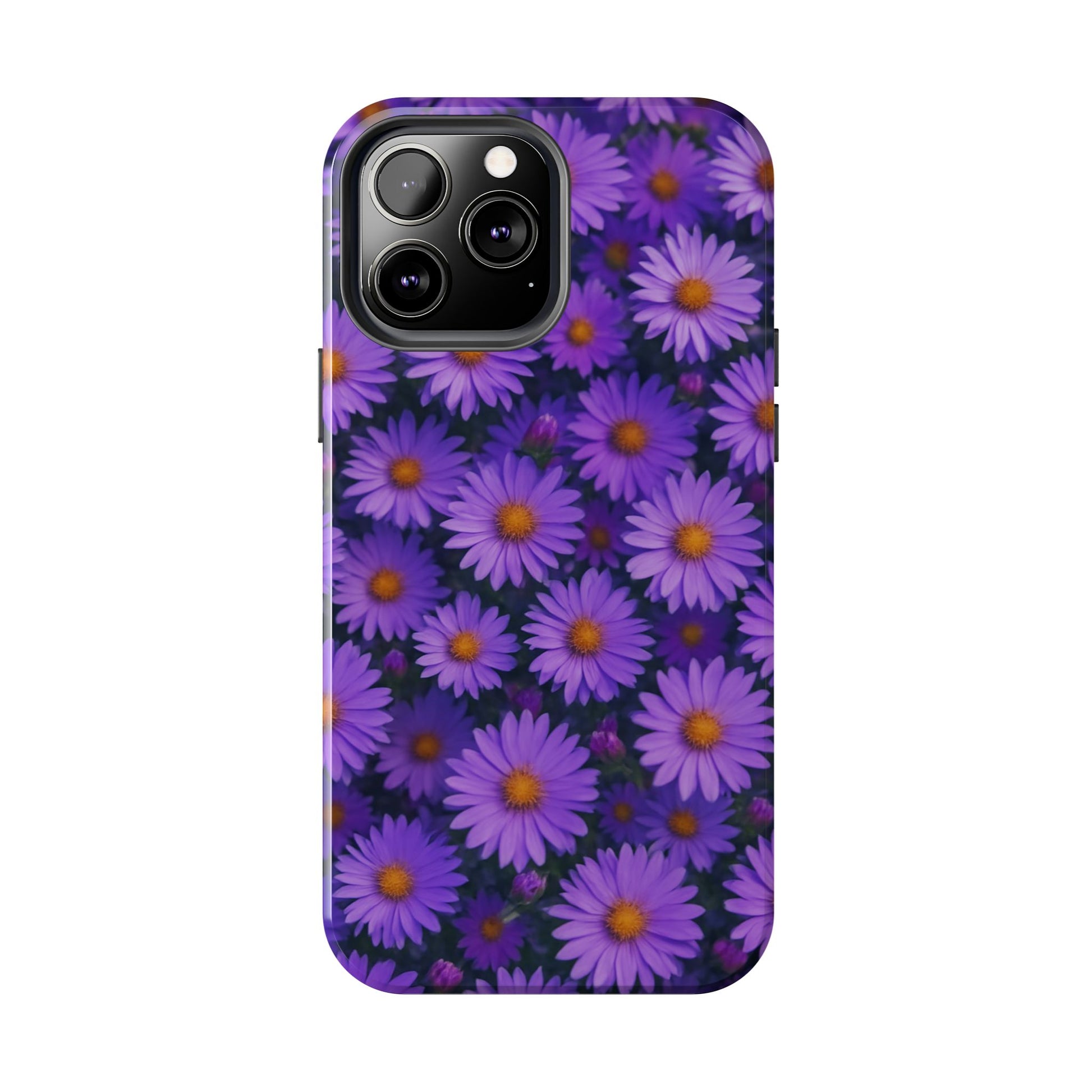 Lavender Daisy