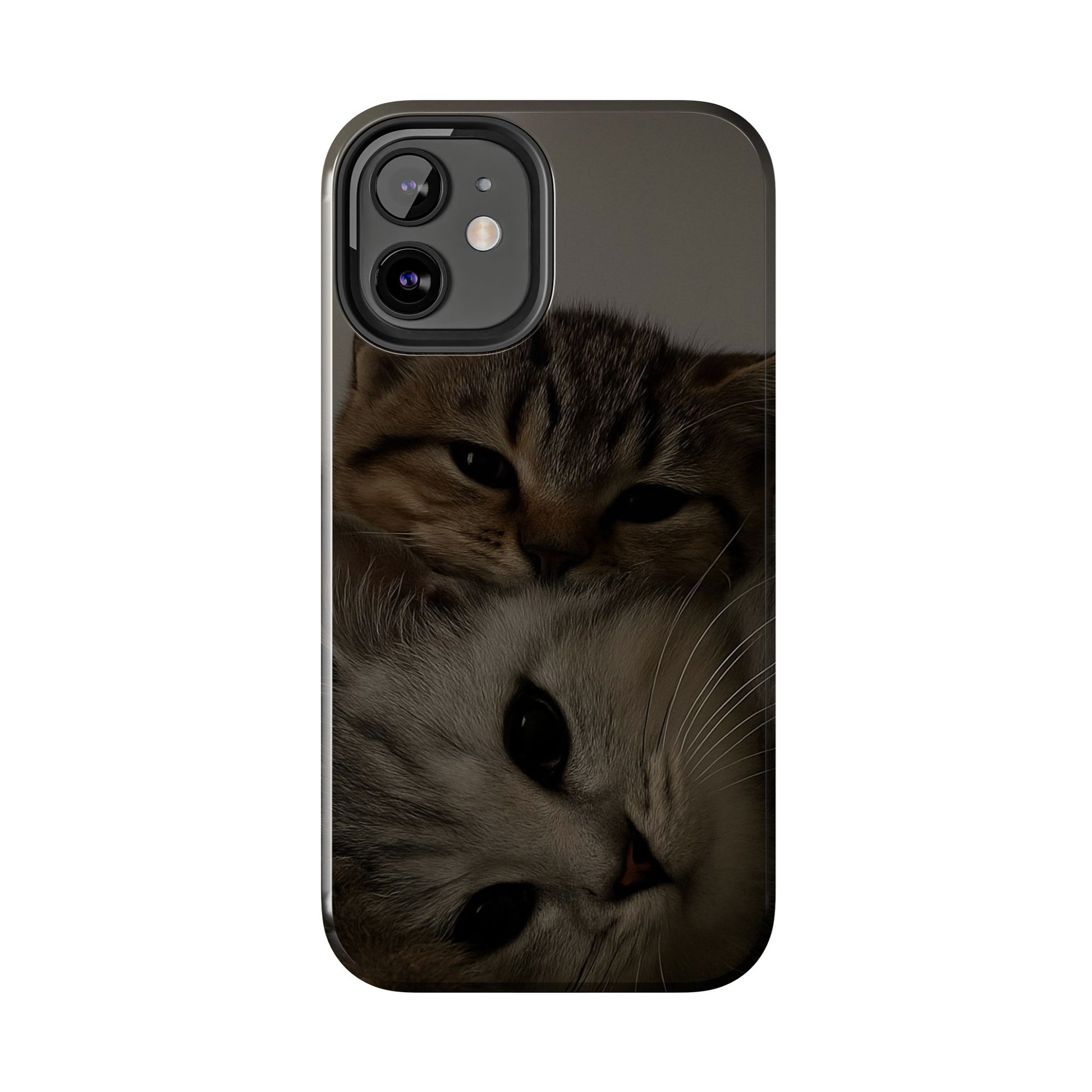 Purring Duo
