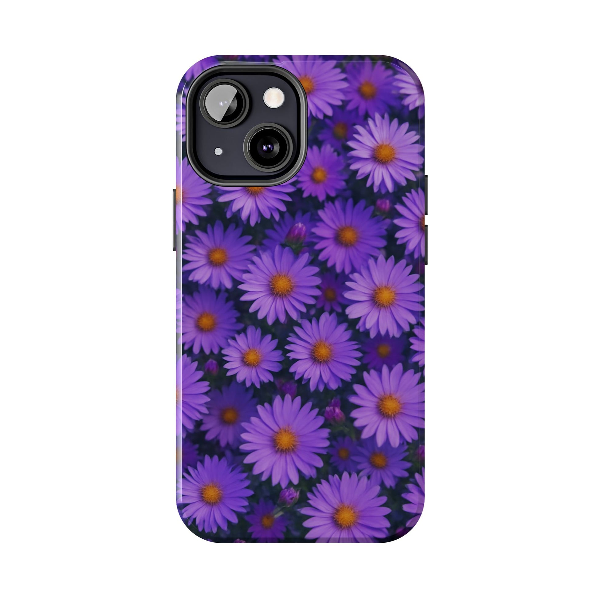 Lavender Daisy
