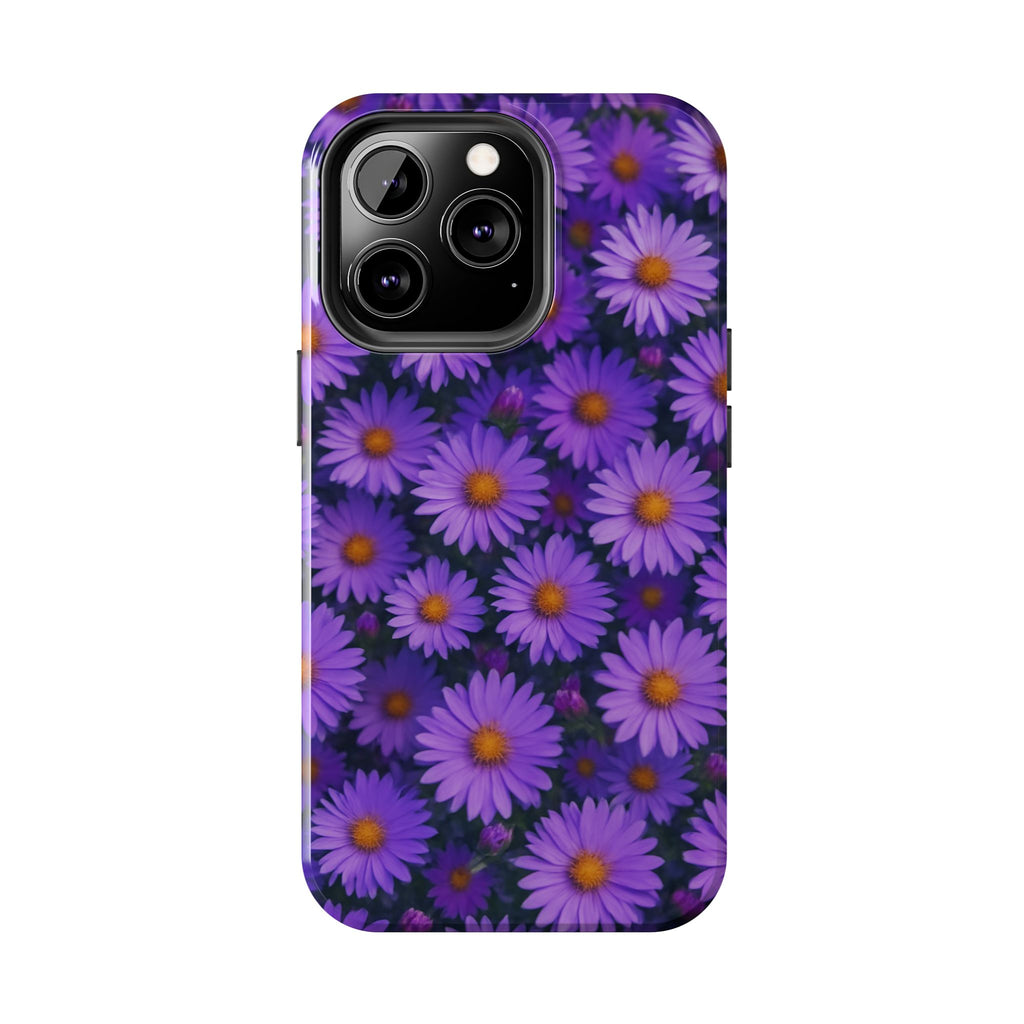 Lavender Daisy