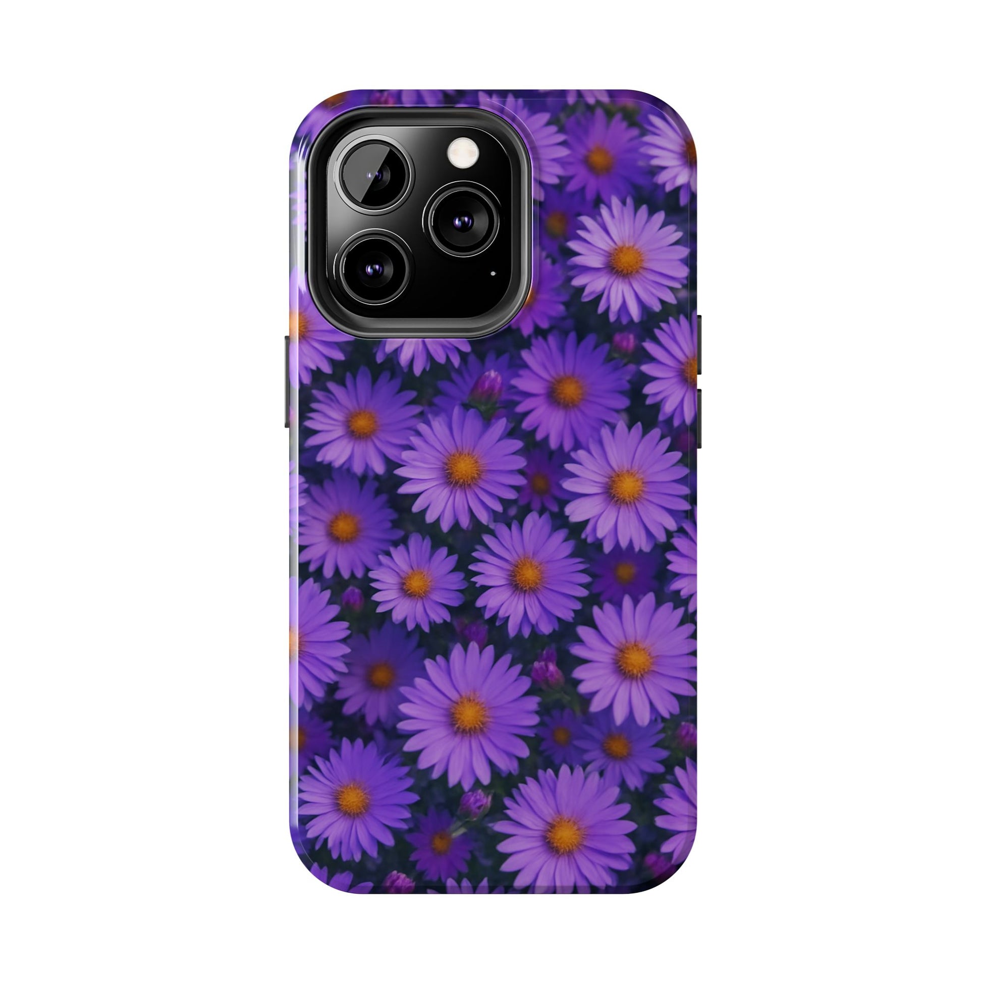 Lavender Daisy