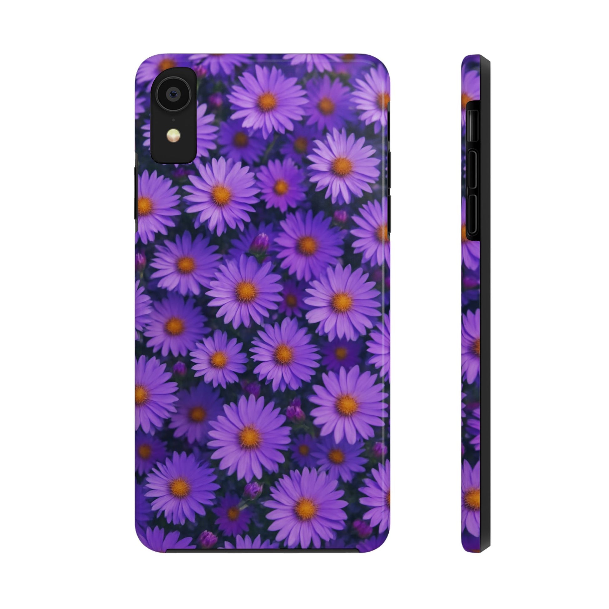 Lavender Daisy