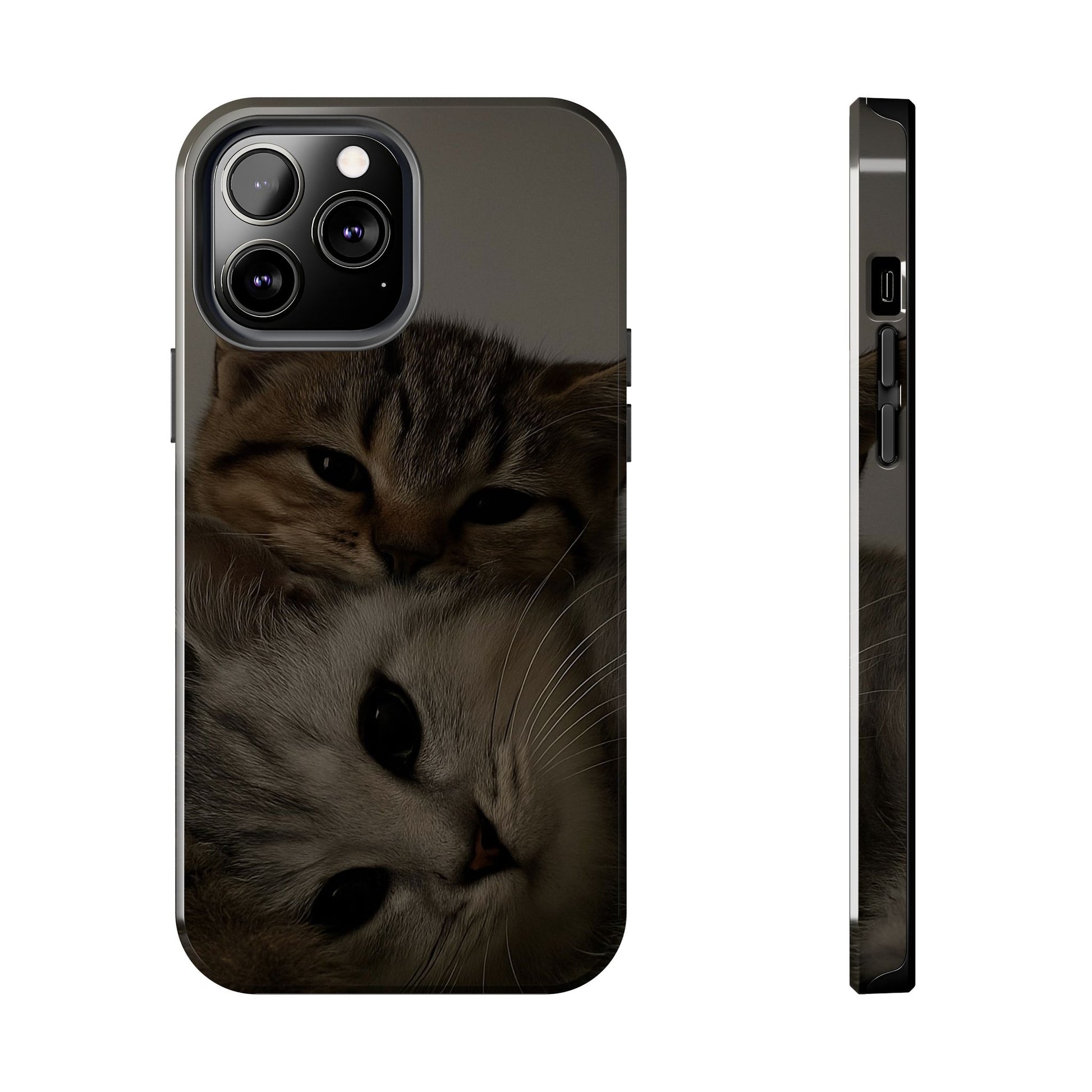 Purring Duo