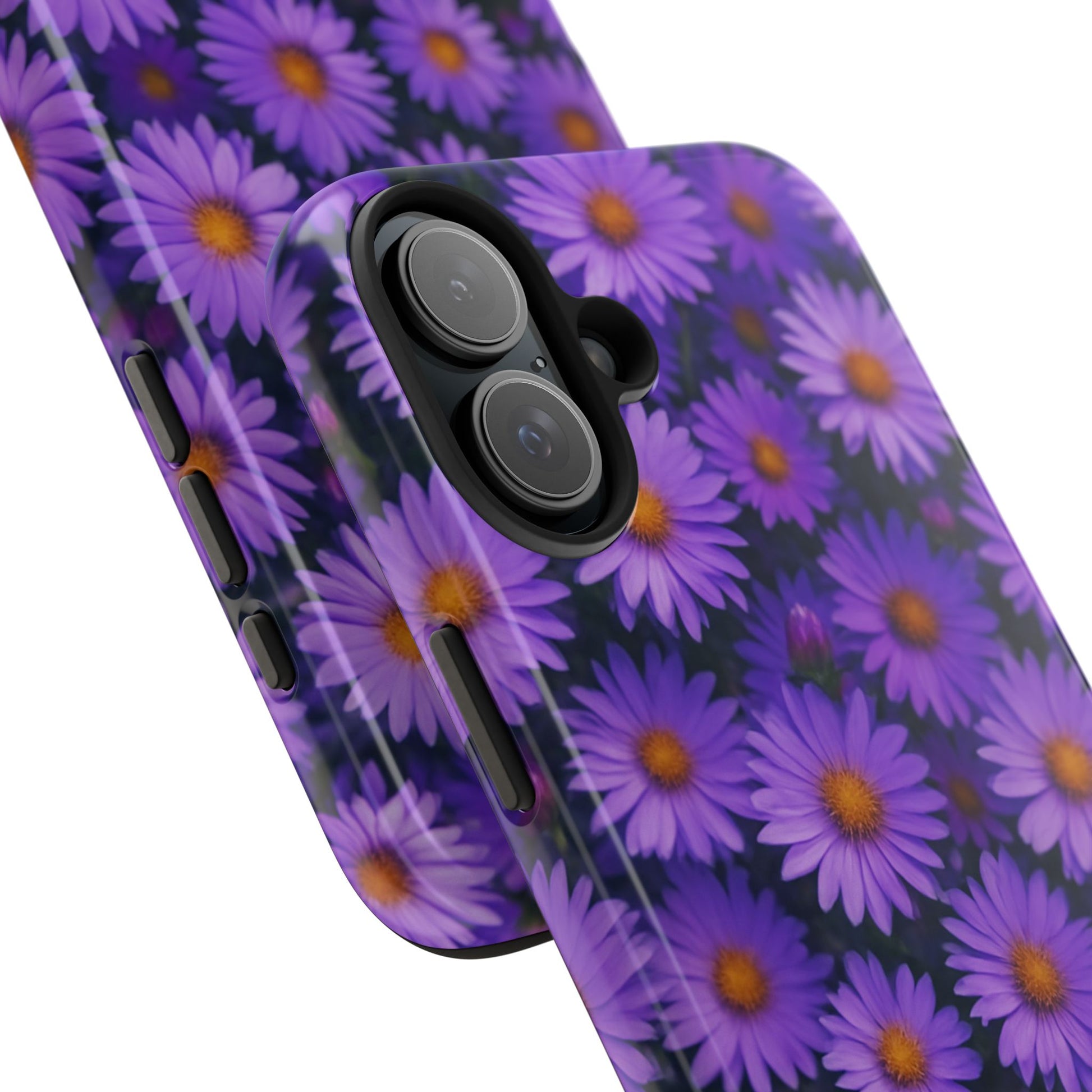 Lavender Daisy