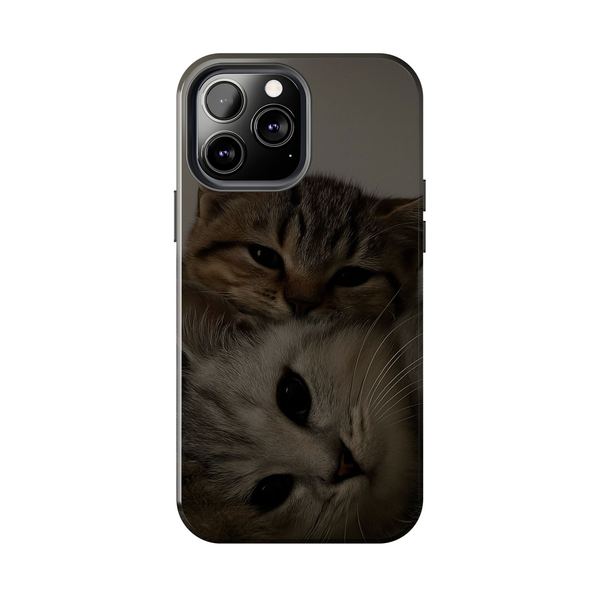 Purring Duo