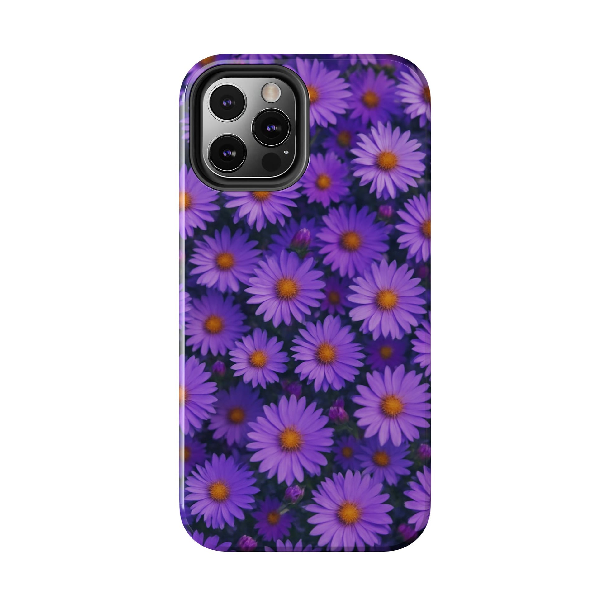 Lavender Daisy
