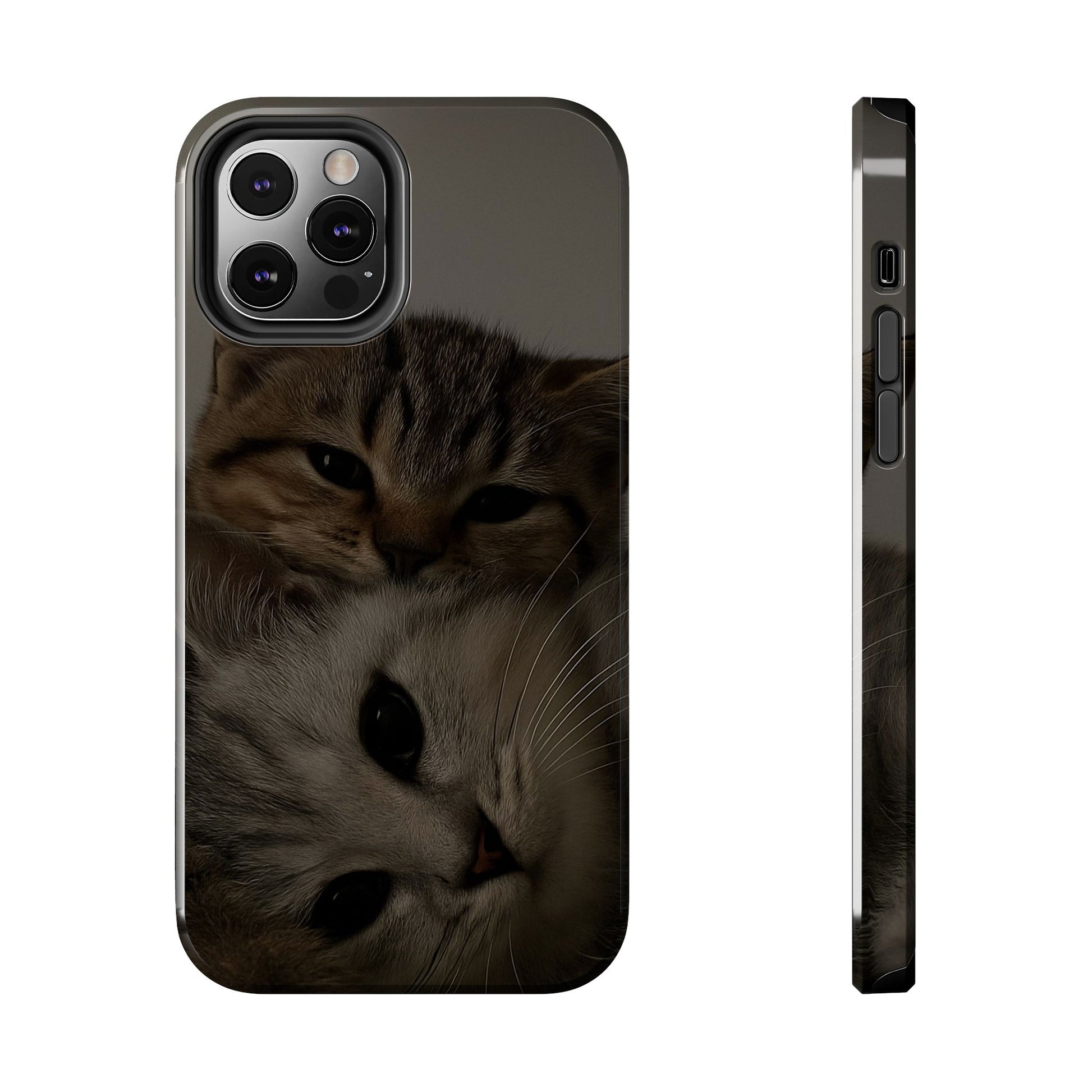 Purring Duo