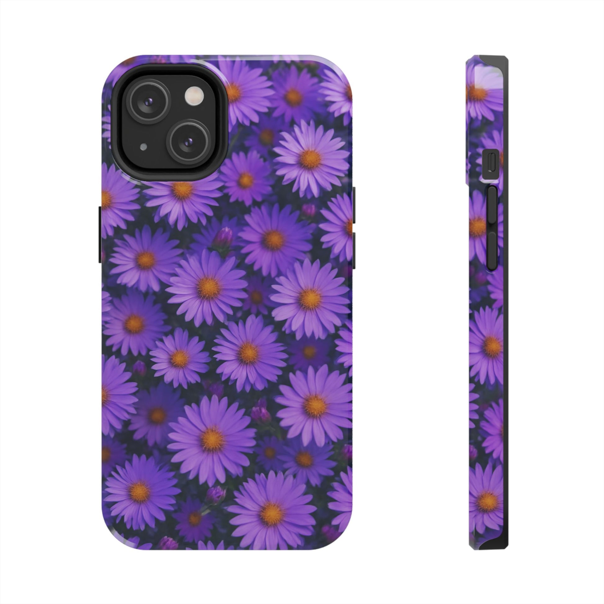 Lavender Daisy