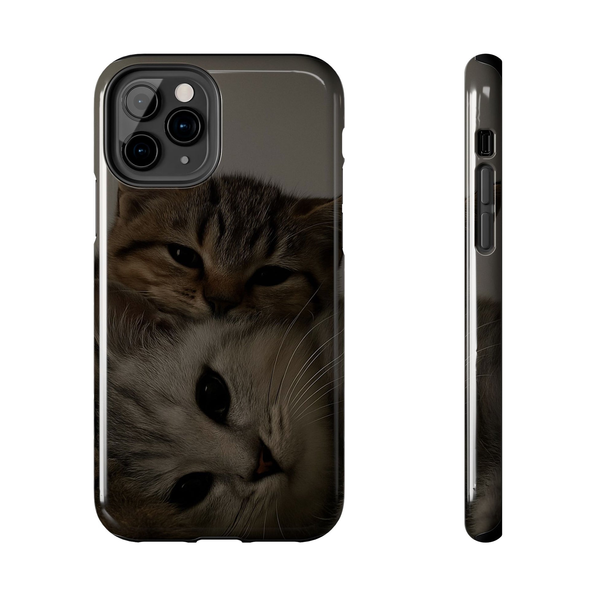 Purring Duo