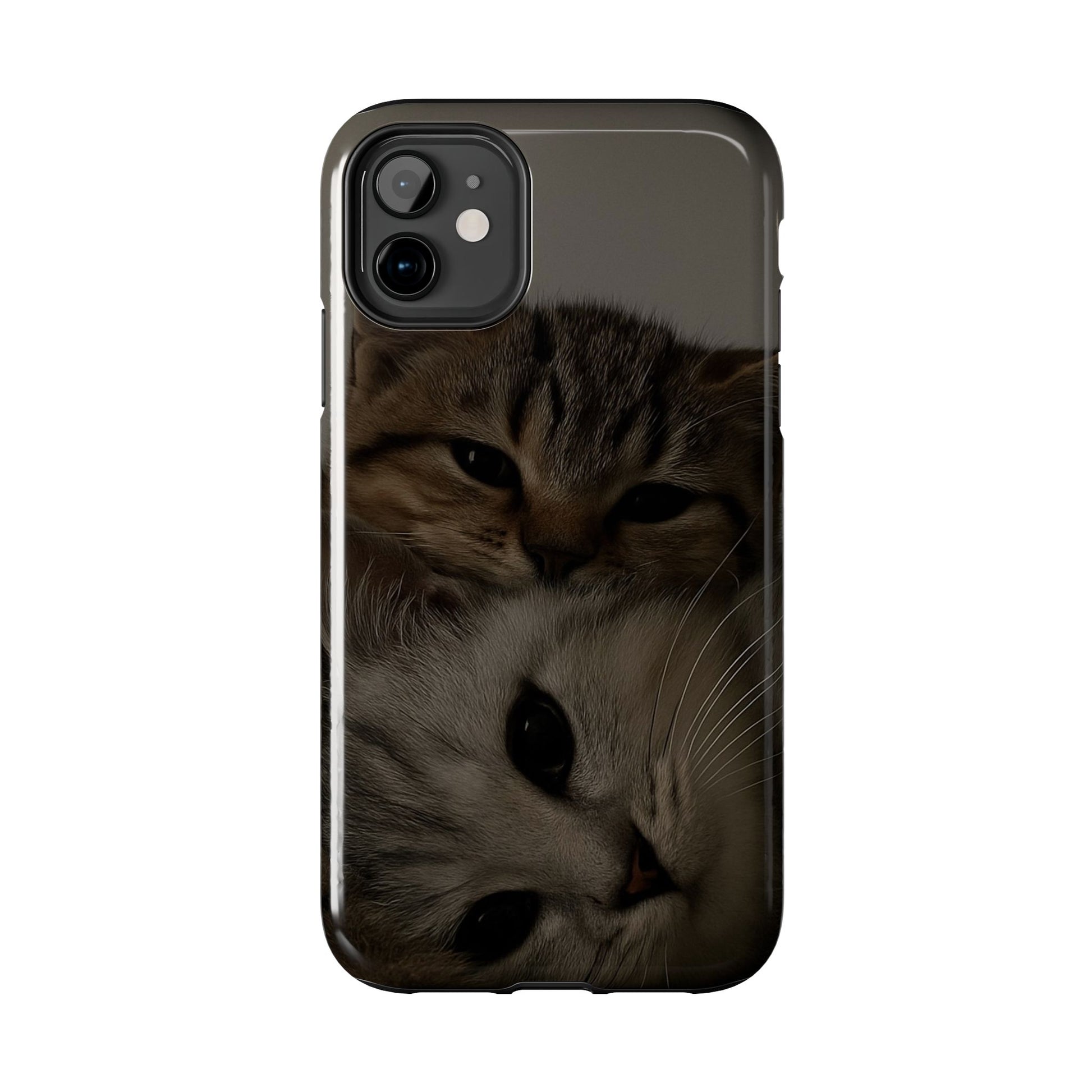 Purring Duo