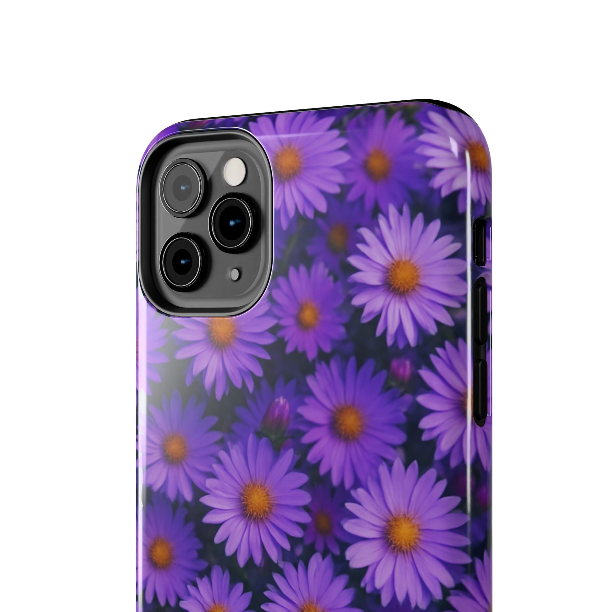 Lavender Daisy