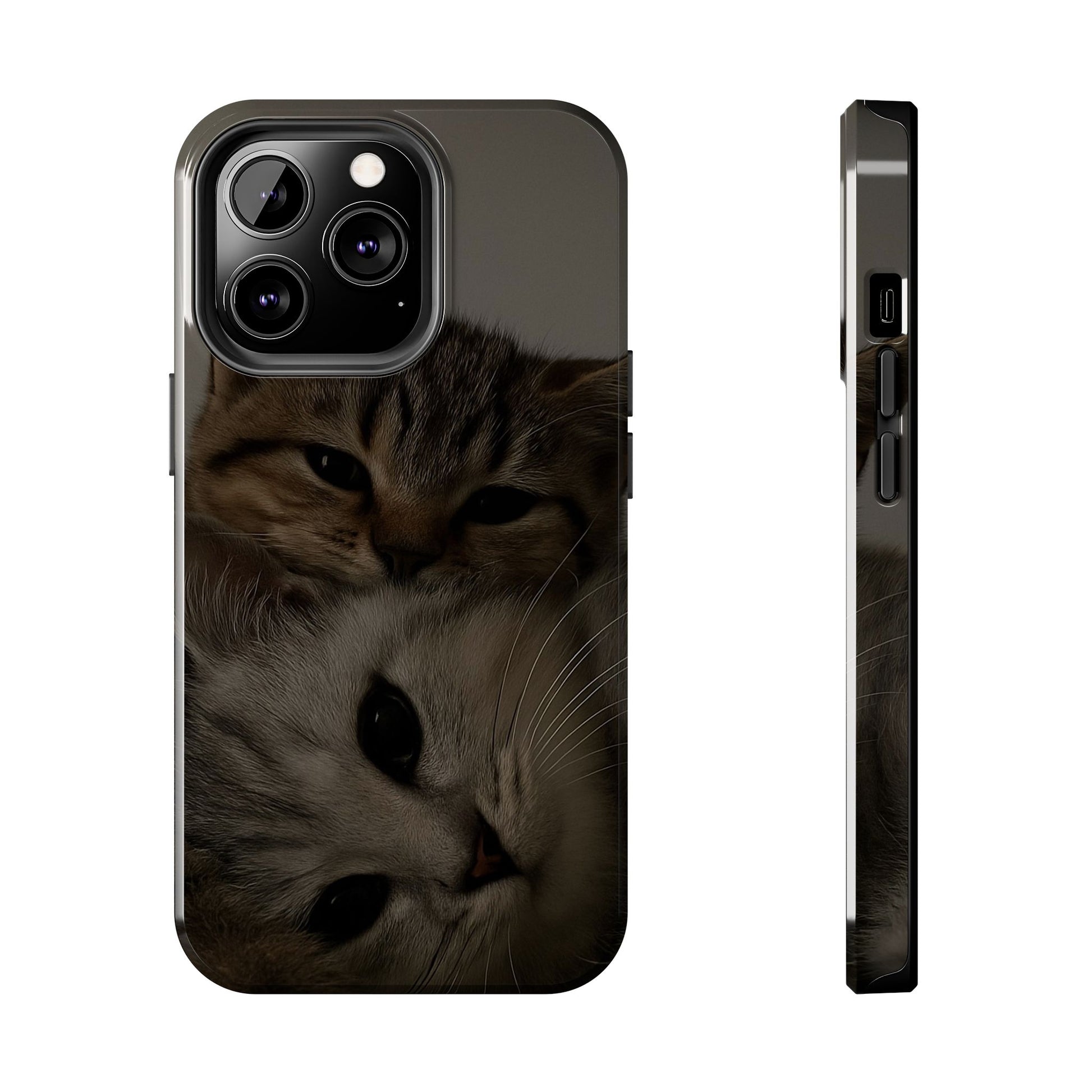 Purring Duo