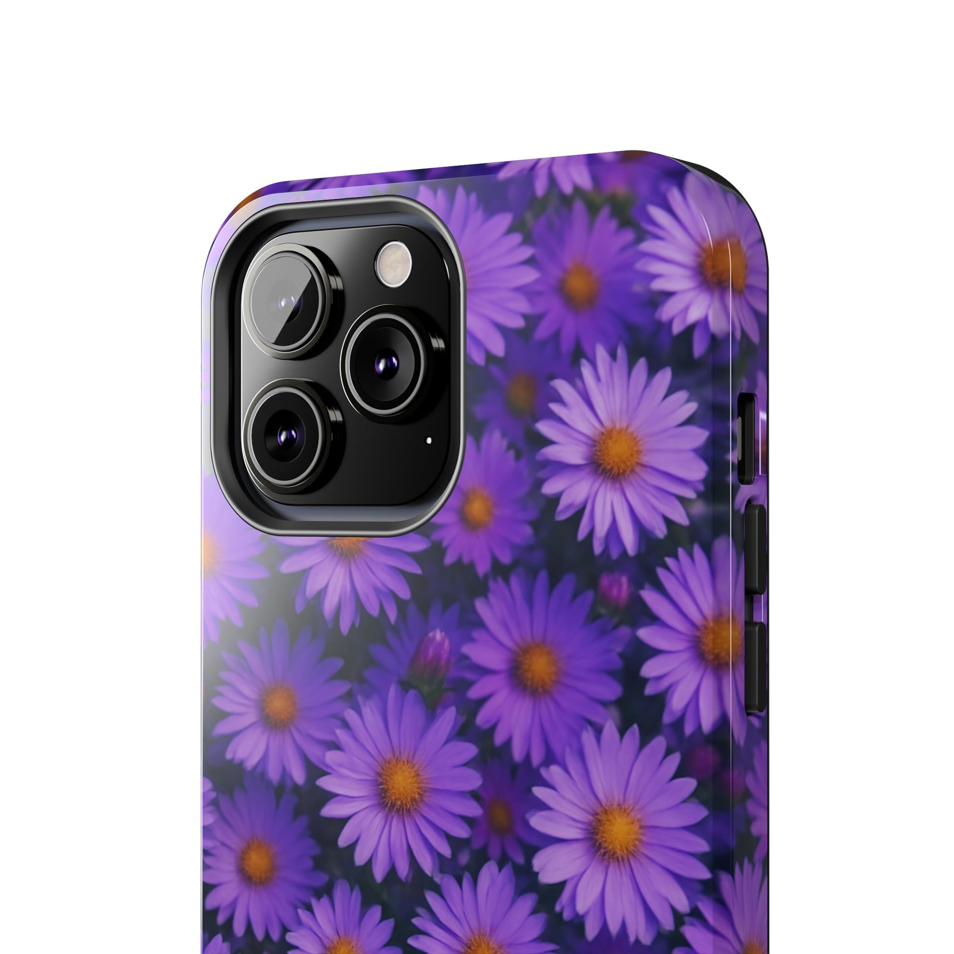 Lavender Daisy