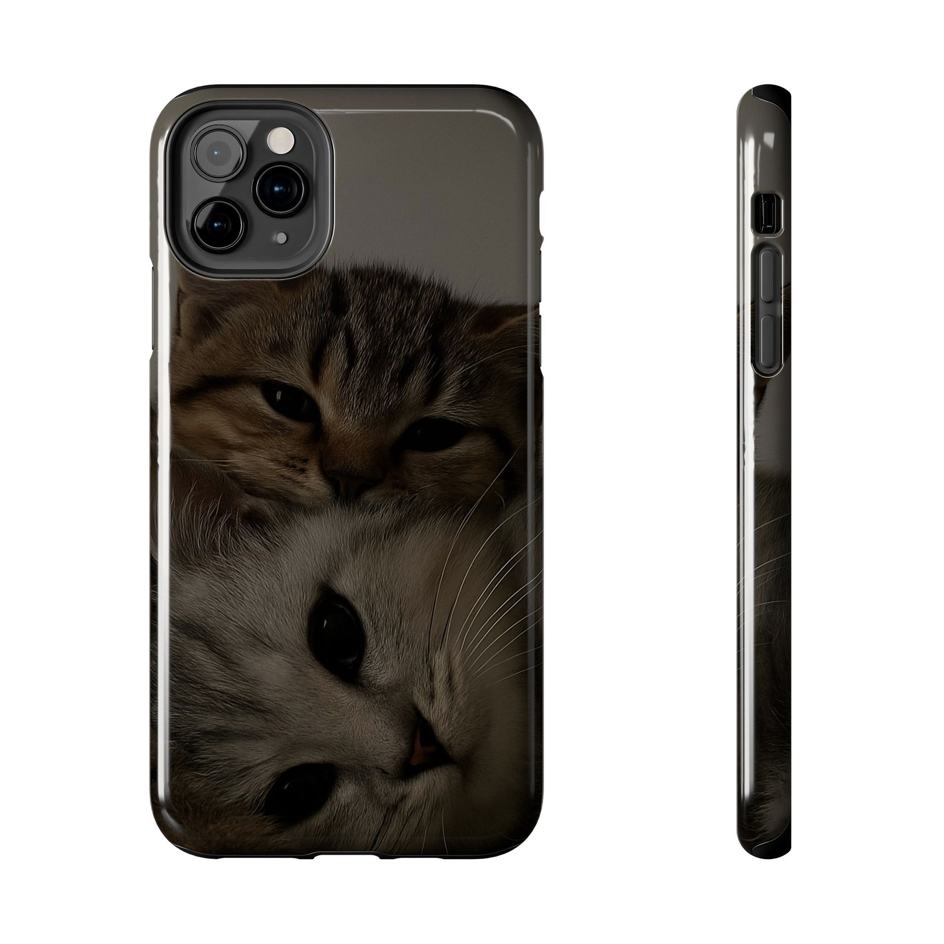 Purring Duo